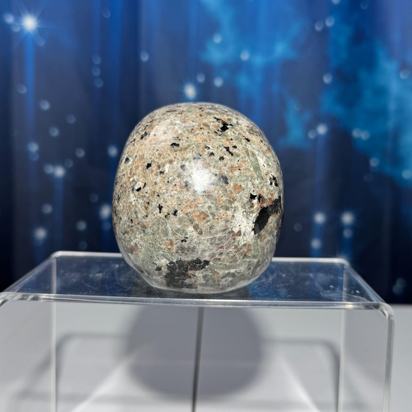 Sodalite Syenite skull | 3 3/4” long | 644 grams | UV reactive Sodalite