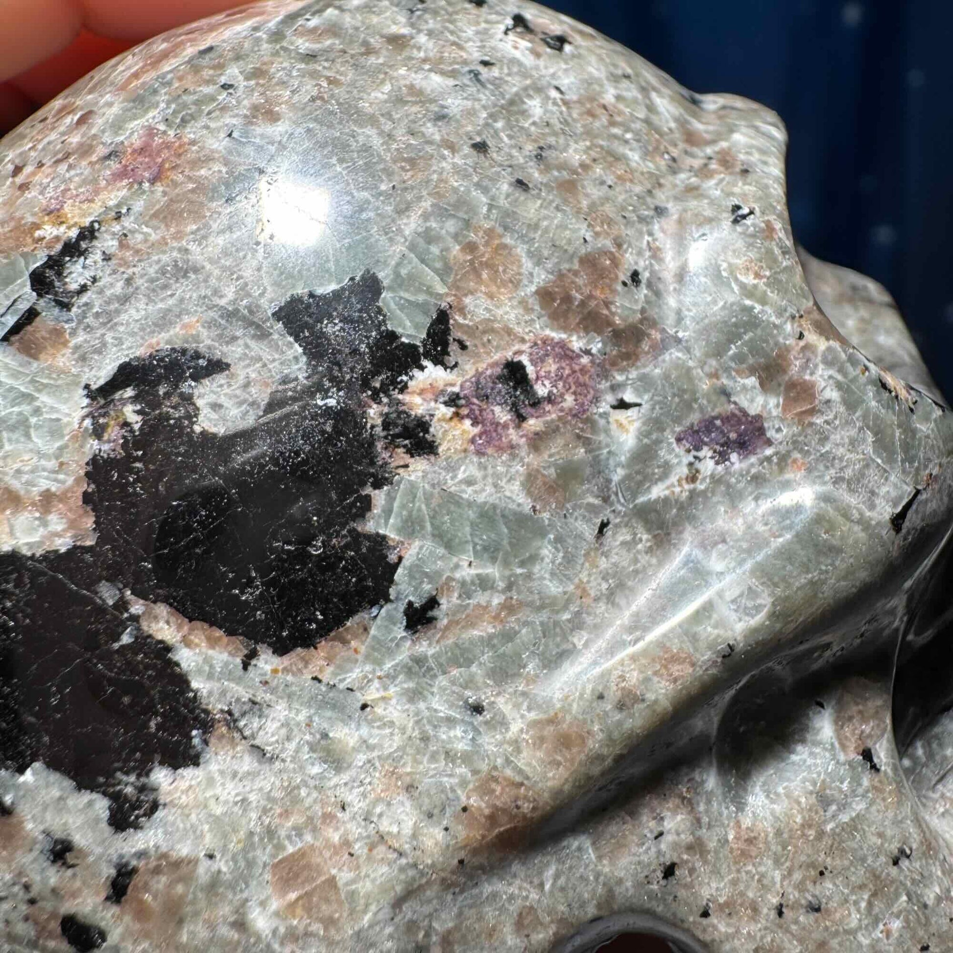 Sodalite Syenite skull | 3 3/4” long | 644 grams | UV reactive Sodalite