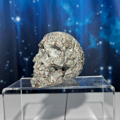 Sodalite Syenite skull | 3 7/8" tall | 612 grams | textured skull | engraved skull | hand carved | UV reactive Sodalite skull