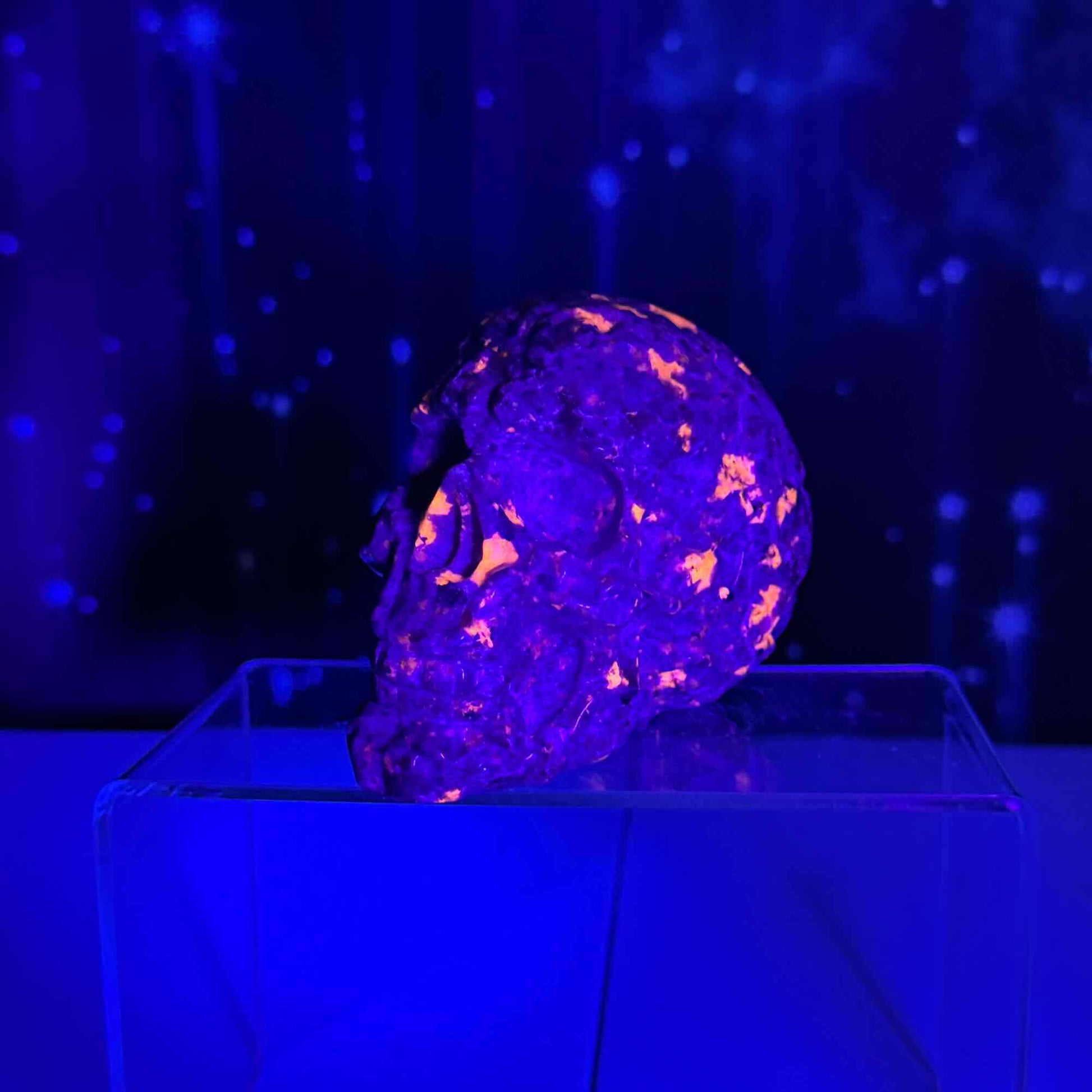 Sodalite Syenite skull | 3 7/8" tall | 612 grams | textured skull | engraved skull | hand carved | UV reactive Sodalite skull