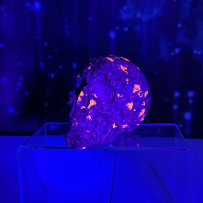 Sodalite Syenite skull | 3 7/8" tall | 612 grams | textured skull | engraved skull | hand carved | UV reactive Sodalite skull