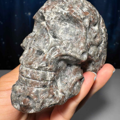 Sodalite Syenite skull | 3 7/8" tall | 612 grams | textured skull | engraved skull | hand carved | UV reactive Sodalite skull