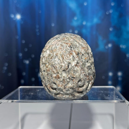 Sodalite Syenite skull | 3 7/8" tall | 612 grams | textured skull | engraved skull | hand carved | UV reactive Sodalite skull