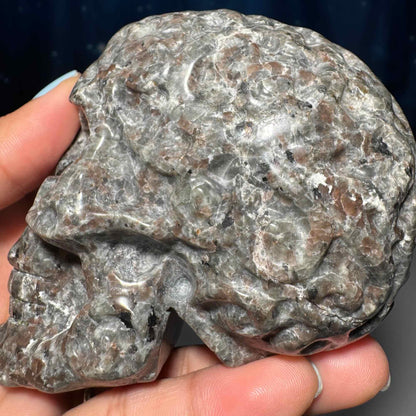Sodalite Syenite skull | 3 7/8" tall | 612 grams | textured skull | engraved skull | hand carved | UV reactive Sodalite skull