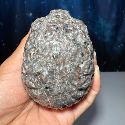 Sodalite Syenite skull | 3 7/8" tall | 612 grams | textured skull | engraved skull | hand carved | UV reactive Sodalite skull