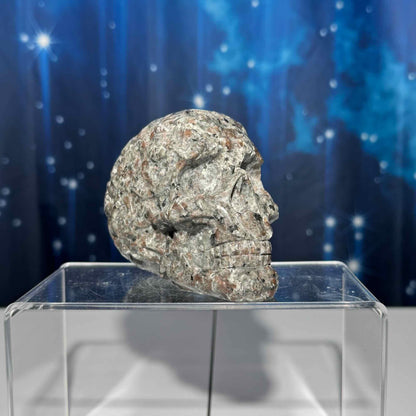 Sodalite Syenite skull | 3 7/8" tall | 612 grams | textured skull | engraved skull | hand carved | UV reactive Sodalite skull