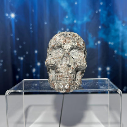 Sodalite Syenite skull | 3 7/8" tall | 612 grams | textured skull | engraved skull | hand carved | UV reactive Sodalite skull
