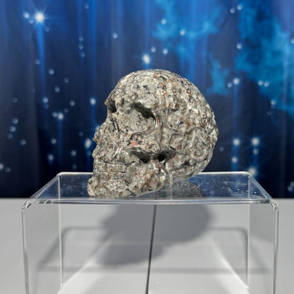 Sodalite Syenite skull | 3 7/8" long | 638 grams | textured skull | engraved skull | hand carved | UV reactive Sodalite skull