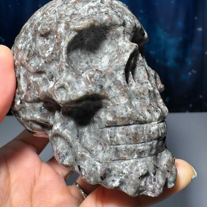 Sodalite Syenite skull | 3 7/8" long | 638 grams | textured skull | engraved skull | hand carved | UV reactive Sodalite skull