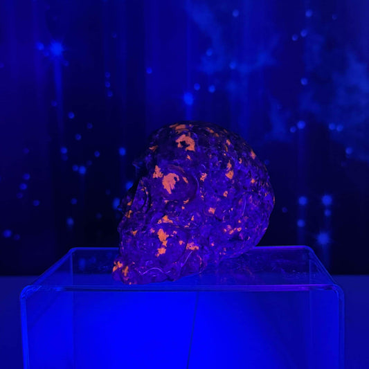 Sodalite Syenite skull | 3 7/8" long | 638 grams | textured skull | engraved skull | hand carved | UV reactive Sodalite skull