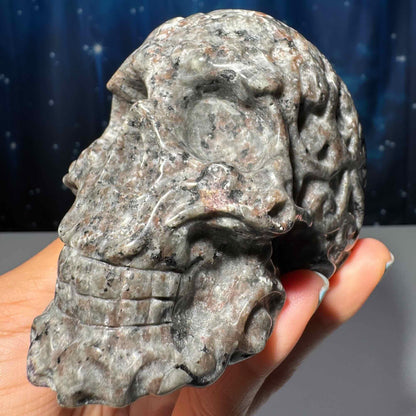 Sodalite Syenite skull | 3 7/8" long | 638 grams | textured skull | engraved skull | hand carved | UV reactive Sodalite skull
