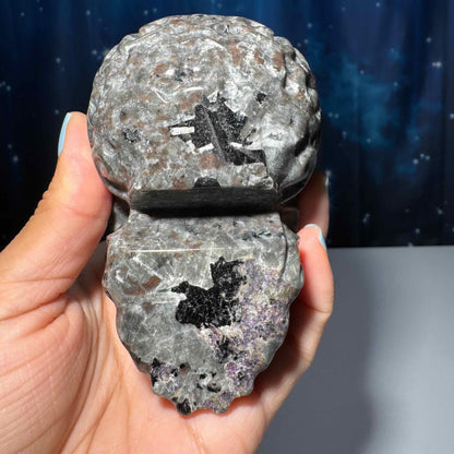 Sodalite Syenite skull | 3 7/8" long | 638 grams | textured skull | engraved skull | hand carved | UV reactive Sodalite skull