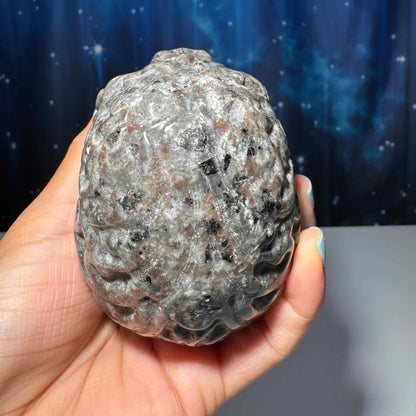 Sodalite Syenite skull | 3 7/8" long | 638 grams | textured skull | engraved skull | hand carved | UV reactive Sodalite skull