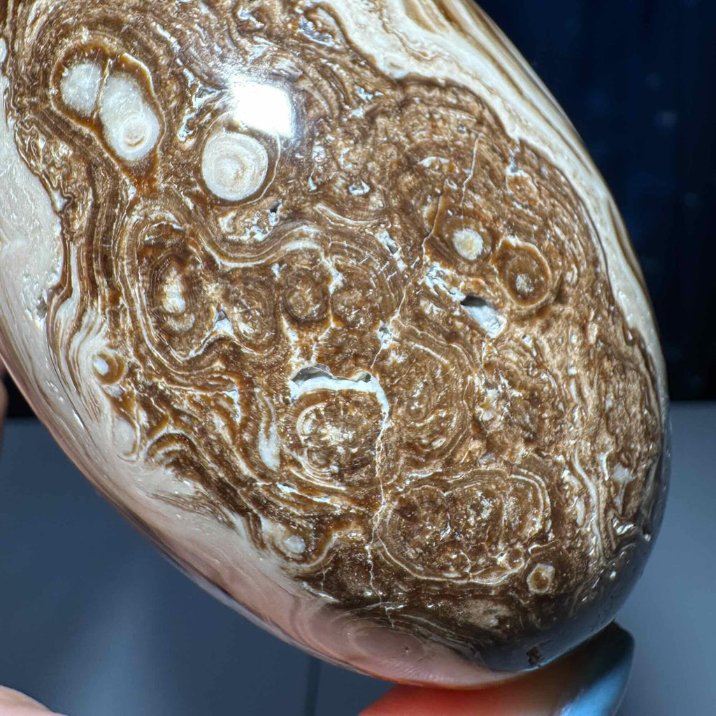 Brown Aragonite goddess egg | 3 3/4" long | 465 grams | gorgeous banding | Tucson find | pill shape | ellipsoid