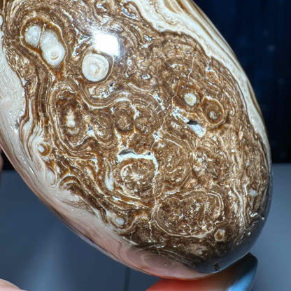 Brown Aragonite goddess egg | 3 3/4" long | 465 grams | gorgeous banding | Tucson find | pill shape | ellipsoid