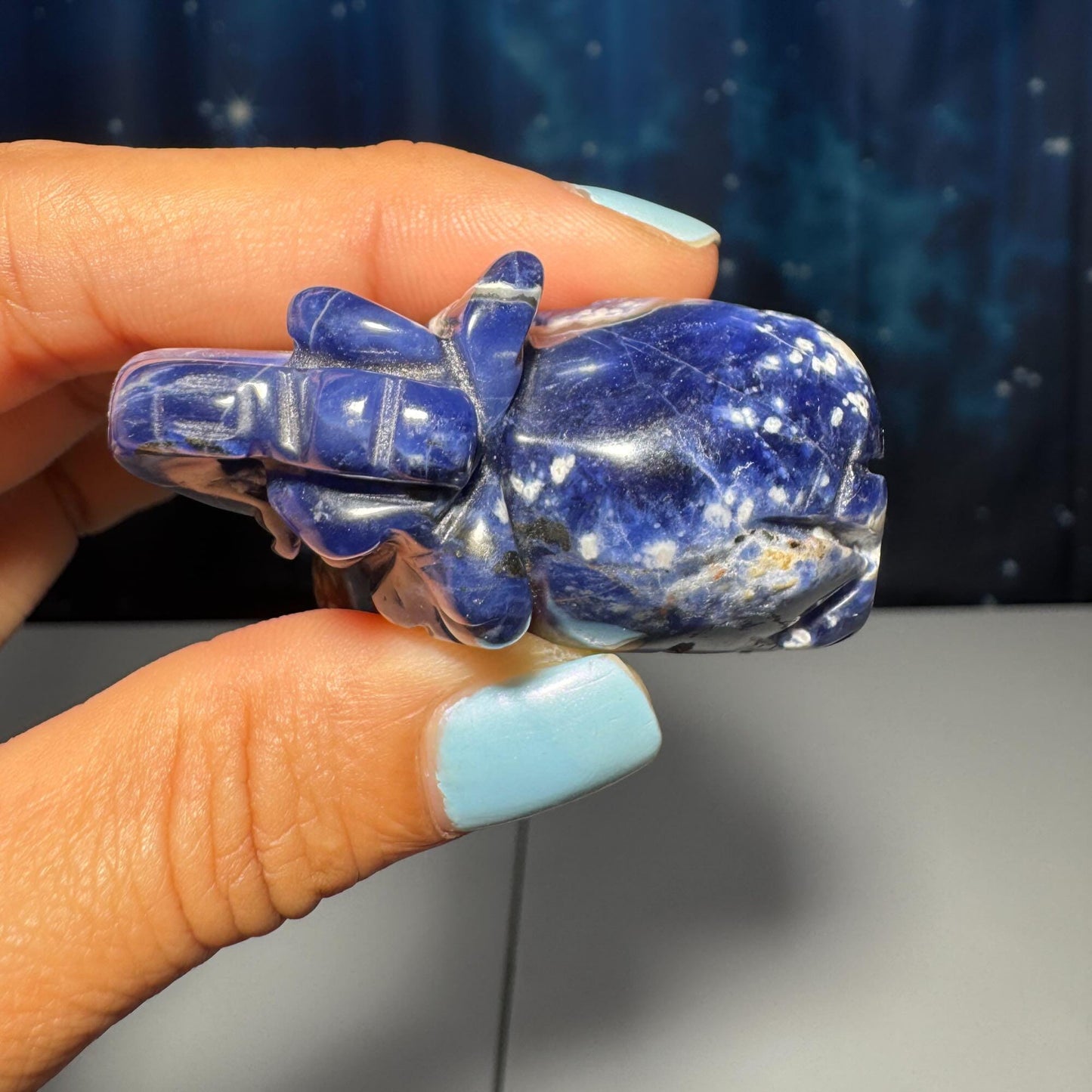 Mini Sodalite Elephant carving | 2” long | 45 grams | trunk up elephant