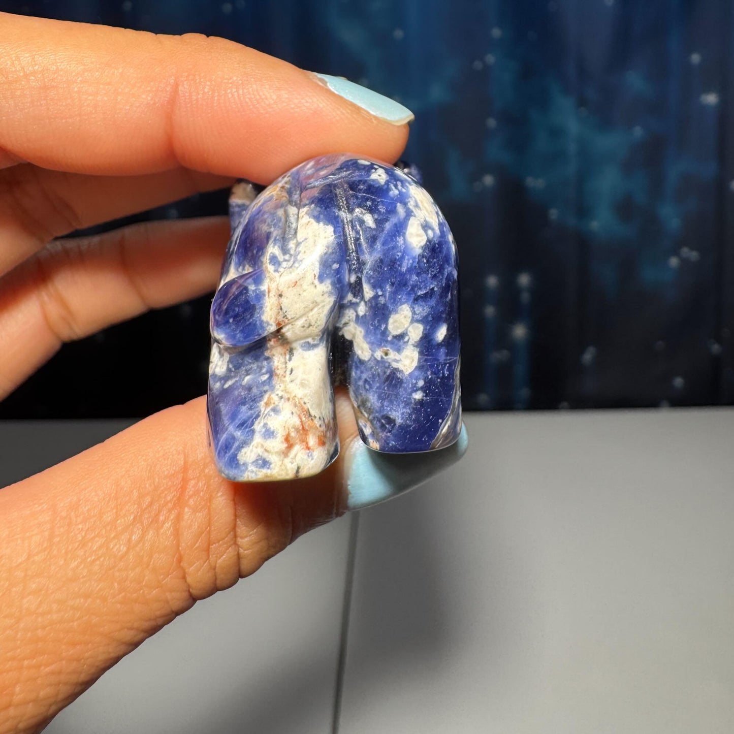 Mini Sodalite Elephant carving | 2” long | 45 grams | trunk up elephant