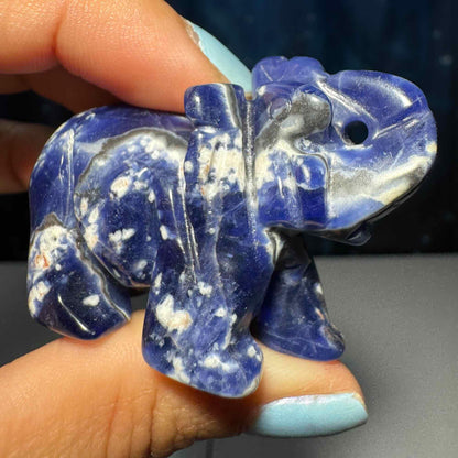 Mini Sodalite Elephant carving | 2” long | 45 grams | trunk up elephant