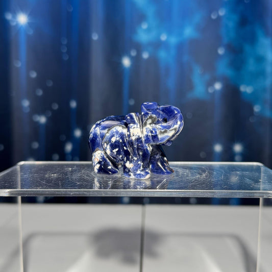 Mini Sodalite Elephant carving | 2” long | 45 grams | trunk up elephant