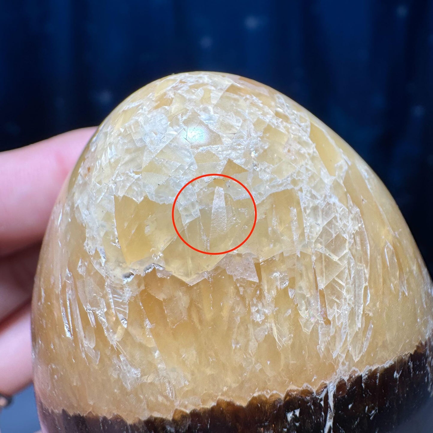 Septarian Egg | 3 1/2” tall | 459 grams | Damage Discount | stand included | UV reactive