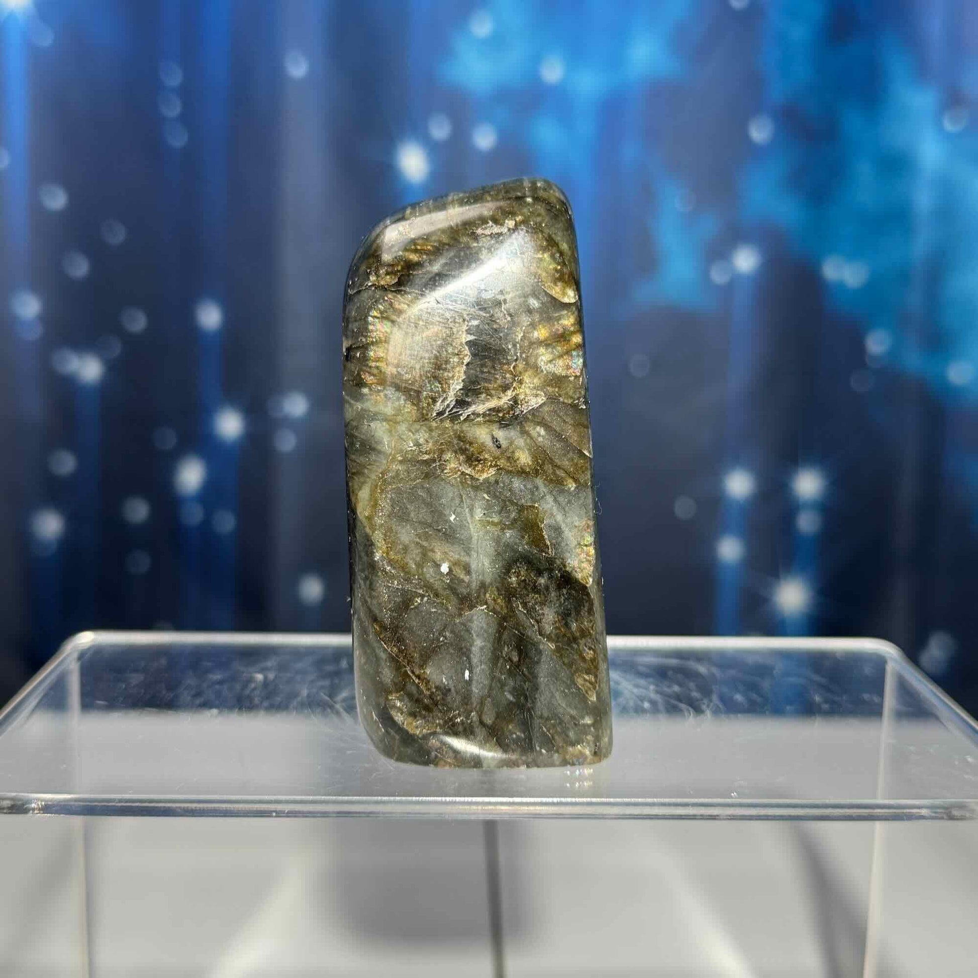 Labradorite free form | 3 1/8" long | 303 grams | dual flash | orange flash | blue flash yellow flash
