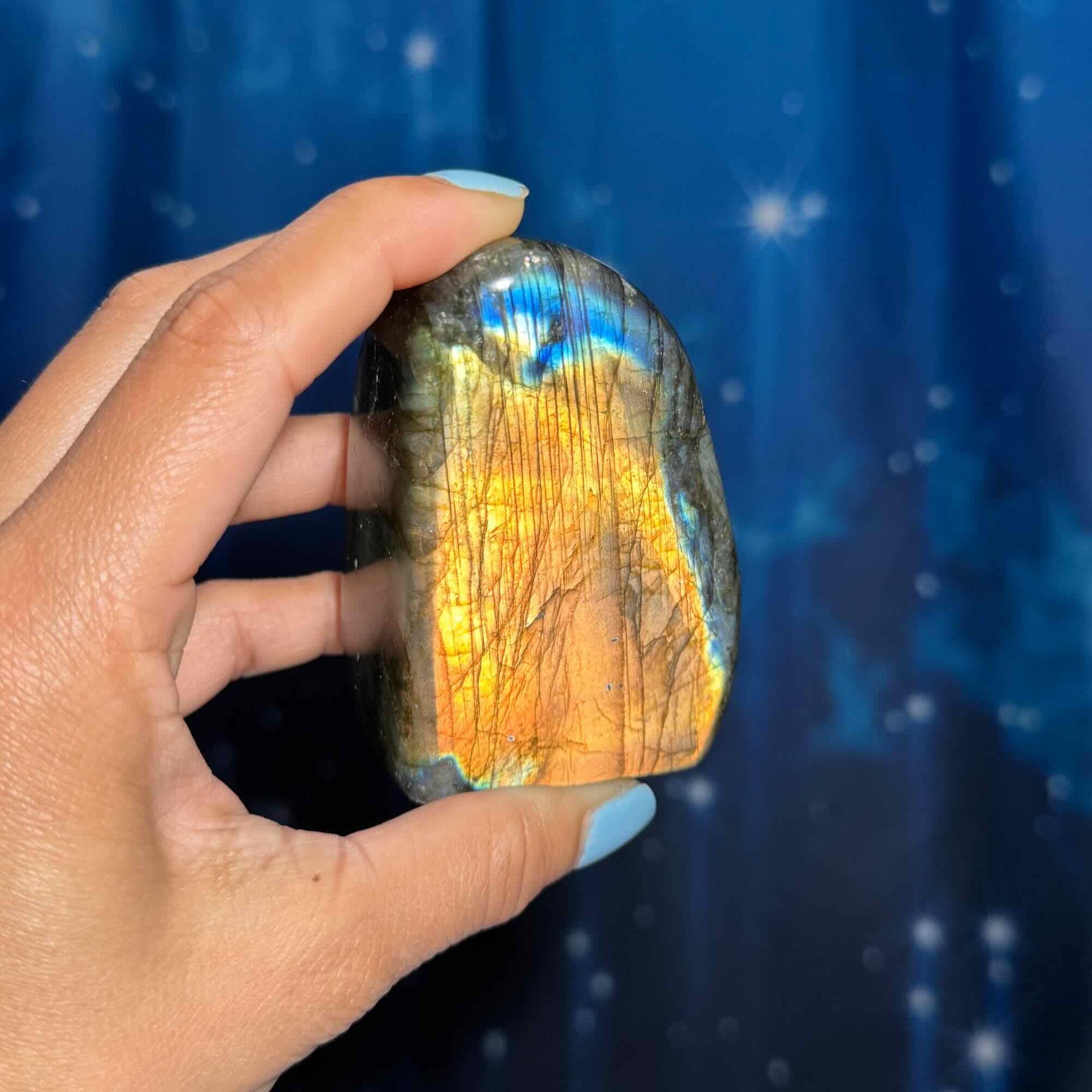 Labradorite free form | 3 1/8" long | 303 grams | dual flash | orange flash | blue flash yellow flash