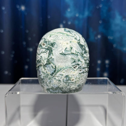 druzy Moss Agate skull | 4 1/8" long | 785 grams | large skull |