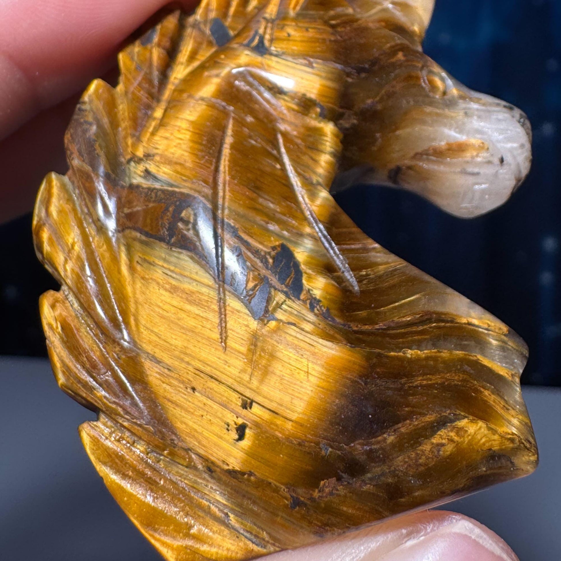 Yellow Tiger's Eye unicorn carving | 2 1/8" tall | 52 grams | flashy Tiger's Eye