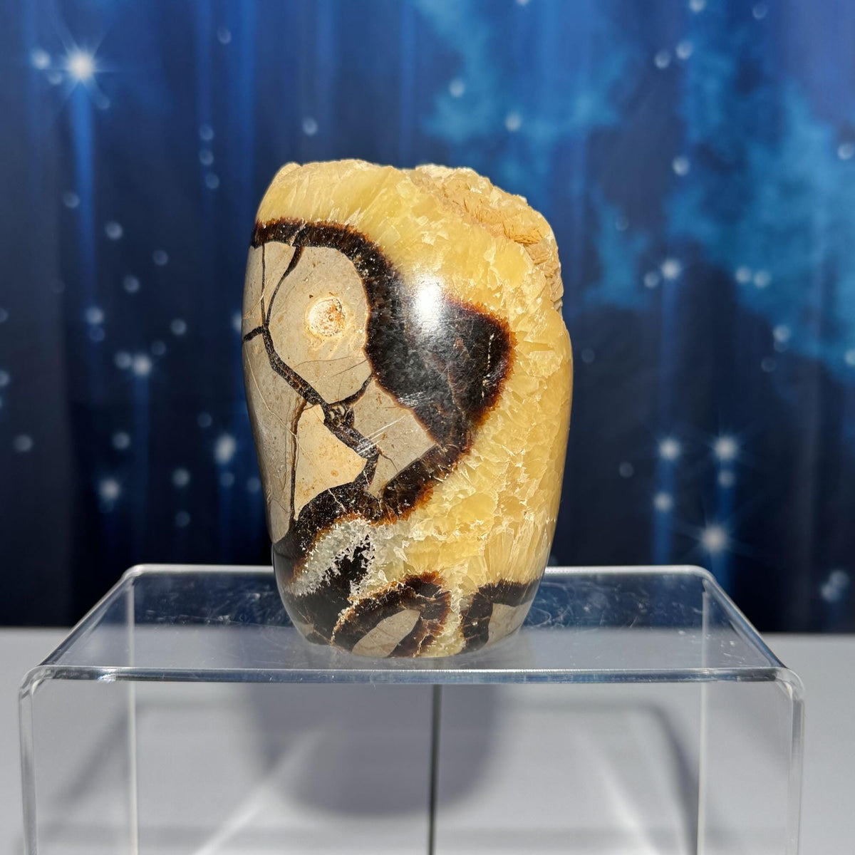 Septarian Geode free form | 4" tall | 816 grams | Damage Discount