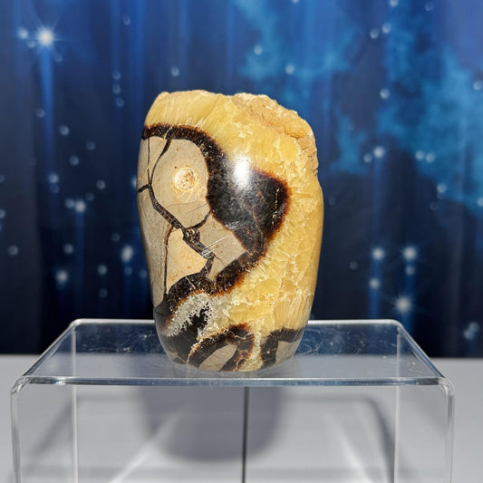 Septarian Geode free form | 4" tall | 816 grams | Damage Discount