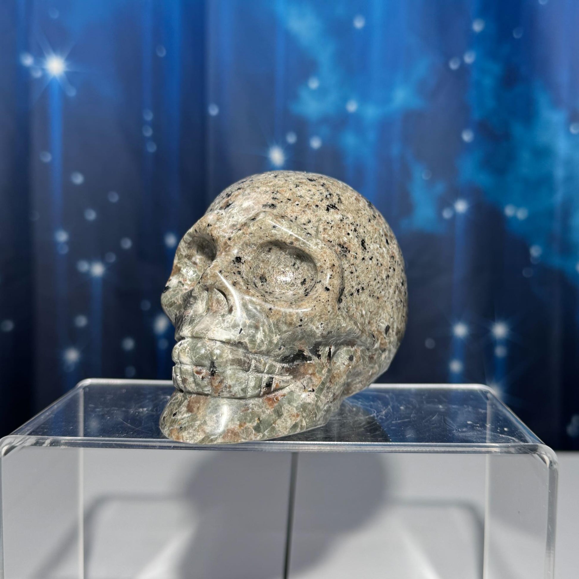 Sodalite Syenite skull | 3 3/4” long | 644 grams | UV reactive Sodalite
