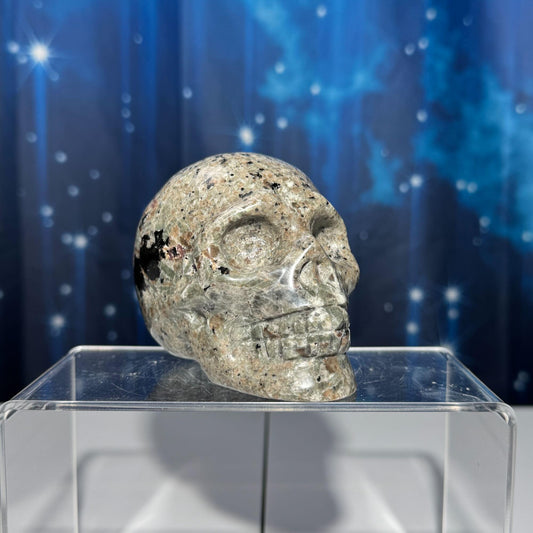 Sodalite Syenite skull | 3 3/4” long | 644 grams | UV reactive Sodalite