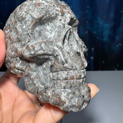Sodalite Syenite skull | 3 7/8" tall | 612 grams | textured skull | engraved skull | hand carved | UV reactive Sodalite skull