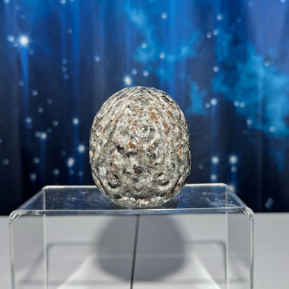 Sodalite Syenite skull | 3 7/8" long | 638 grams | textured skull | engraved skull | hand carved | UV reactive Sodalite skull