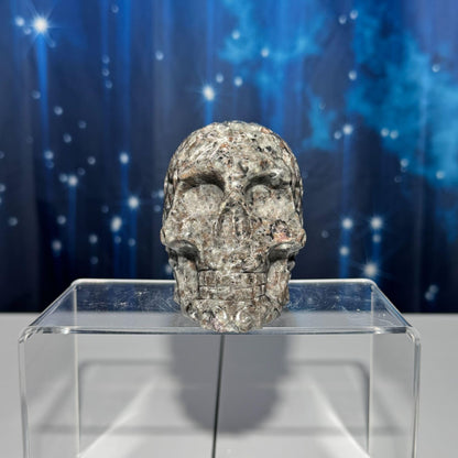 Sodalite Syenite skull | 3 7/8" long | 638 grams | textured skull | engraved skull | hand carved | UV reactive Sodalite skull