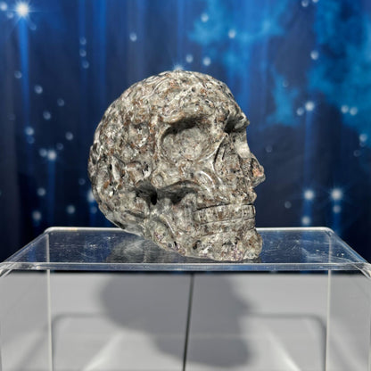 Sodalite Syenite skull | 3 7/8" long | 638 grams | textured skull | engraved skull | hand carved | UV reactive Sodalite skull