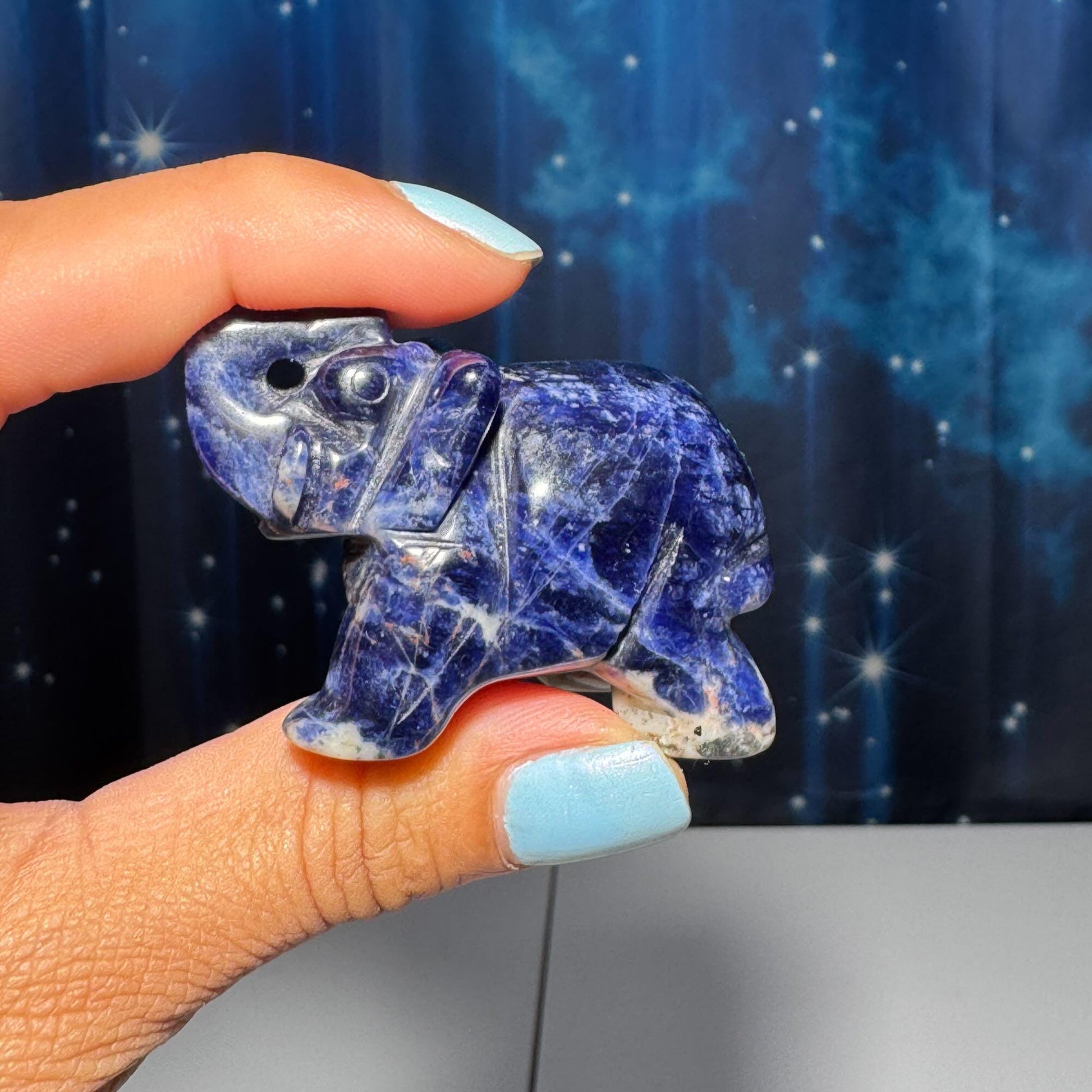 Mini Sodalite elephant carving | 2” long | 45 grams | trunk up elephant