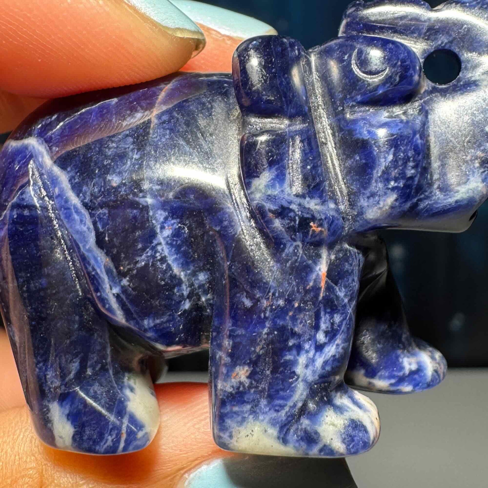 Mini Sodalite elephant carving | 2” long | 45 grams | trunk up elephant