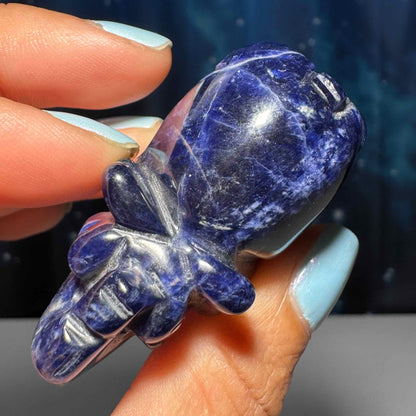 Mini Sodalite elephant carving | 2” long | 45 grams | trunk up elephant