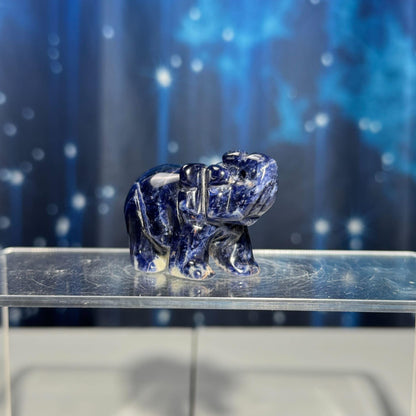 Mini Sodalite elephant carving | 2” long | 45 grams | trunk up elephant