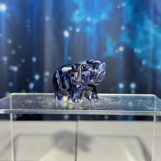 Mini Sodalite elephant carving | 2” long | 45 grams | trunk up elephant