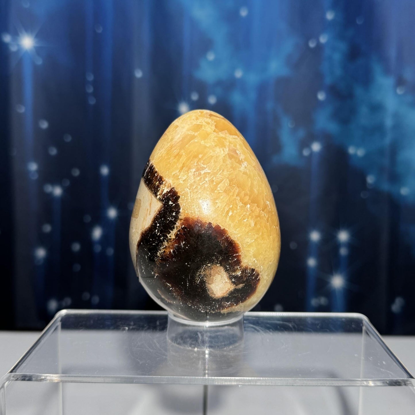Septarian Egg | 3 1/2” tall | 459 grams | Damage Discount | stand included | UV reactive