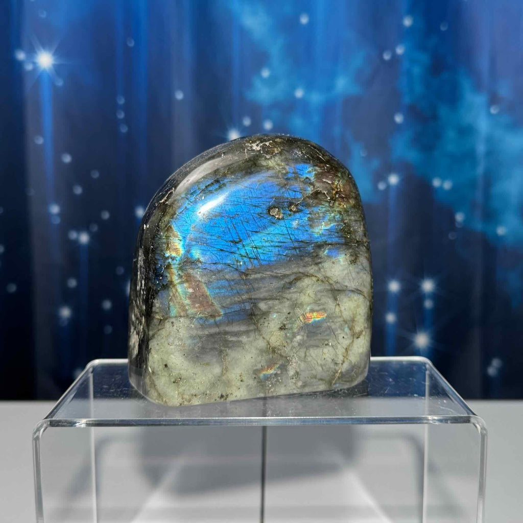 Labradorite free form | 3 3/4" long | 842 grams | dual flash | purple flash | pink flash | orange flash | blue flash yellow flash