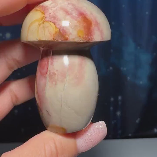 Polychrome Jasper mushroom | 2 3/8" tall | 116 grams | Damage Discount | Desert Jasper