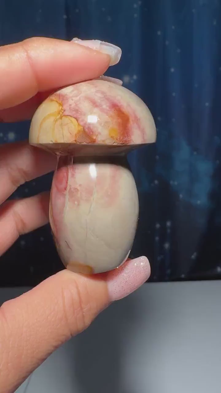 Polychrome Jasper mushroom | 2 3/8" tall | 116 grams | Damage Discount | Desert Jasper