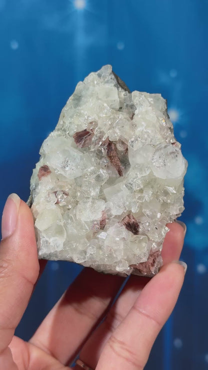 Apophyllite with Stilbite and Heulandite on Matrix – 0.136 kg