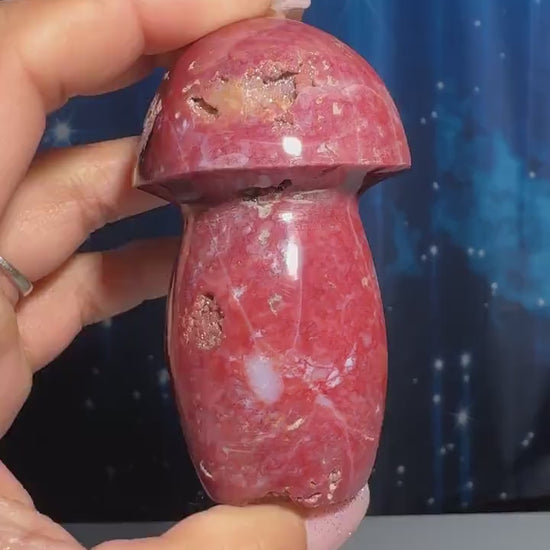 Druzy Red Sea Jasper mushroom carving | 3 1/8" tall | 204 grams