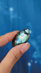Labradorite Cabochon – Pre-Drilled • 7 grams