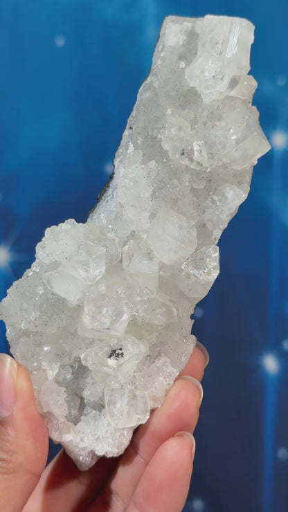 Apophyllite on Matrix – 0.207 kg